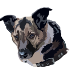 Пропавшие животные.png 2.png